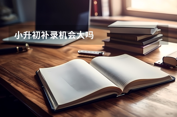 小升初补录机会大吗