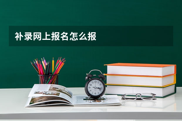 补录网上报名怎么报