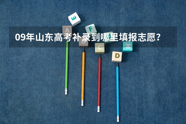 09年山东高考补录到哪里填报志愿？
