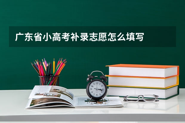 广东省小高考补录志愿怎么填写