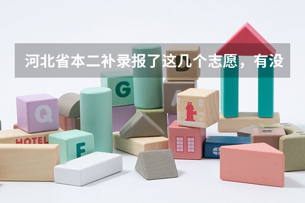 河北省本二补录报了这几个志愿，有没有可能录取呢？