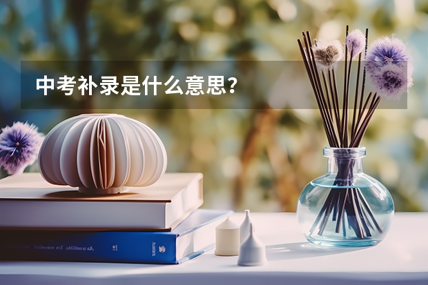 中考补录是什么意思？