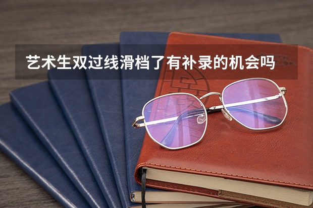 艺术生双过线滑档了有补录的机会吗