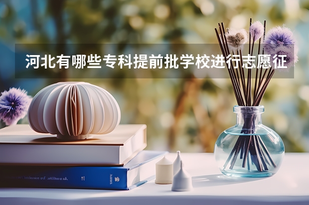 河北有哪些专科提前批学校进行志愿征集? 我说的是补录的昂~第一批我已经报了、没有过。别打广告昂!