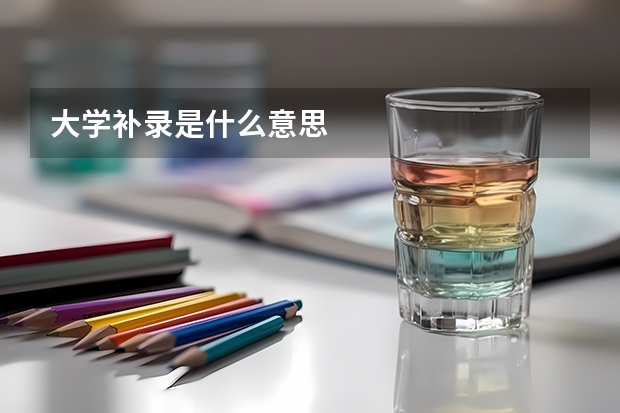 大学补录是什么意思