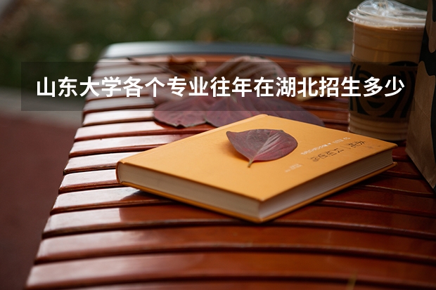 山东大学各个专业往年在湖北招生多少人