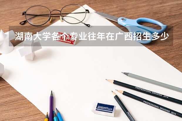 湖南大学各个专业往年在广西招生多少人