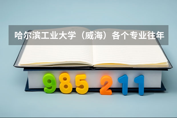 哈尔滨工业大学（威海）各个专业往年在河南招生多少人