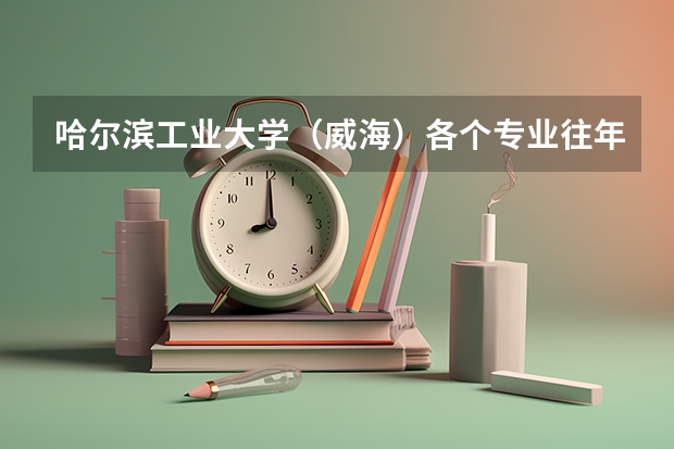 哈尔滨工业大学（威海）各个专业往年在青海招生多少人