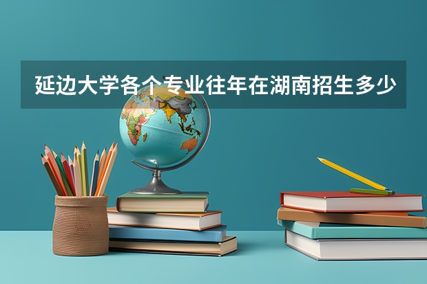 延边大学各个专业往年在湖南招生多少人
