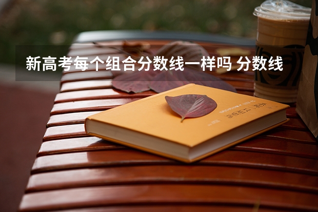 新高考每个组合分数线一样吗 分数线是同一个吗
