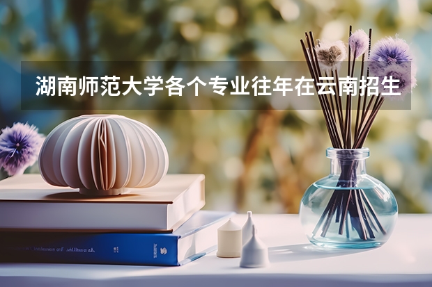 湖南师范大学各个专业往年在云南招生多少人