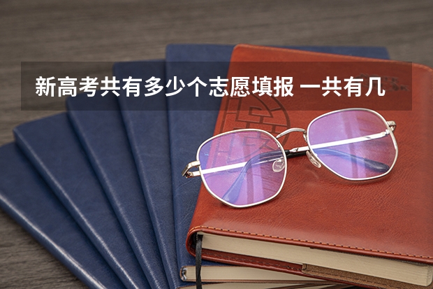 新高考共有多少个志愿填报 一共有几个志愿可以填