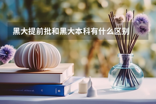 黑大提前批和黑大本科有什么区别