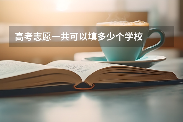 高考志愿一共可以填多少个学校