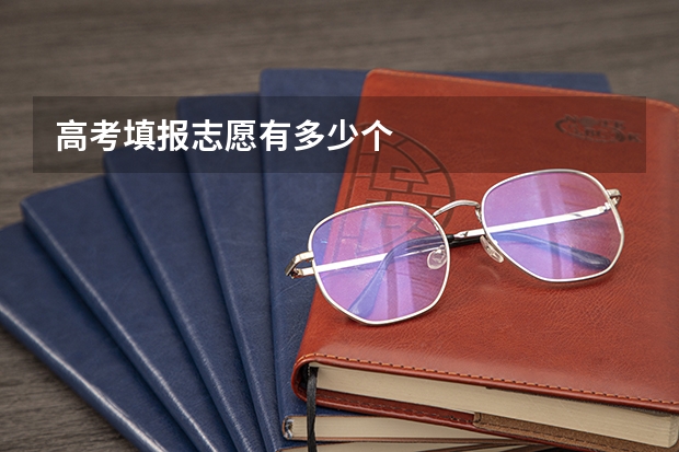 高考填报志愿有多少个