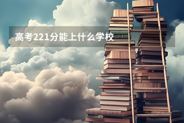 高考221分能上什么学校