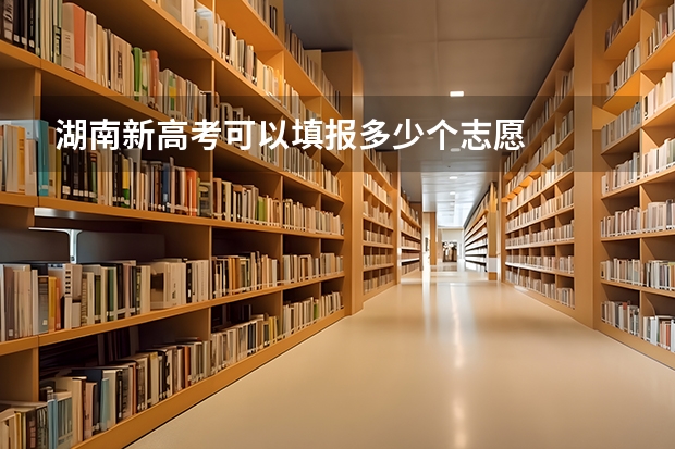 湖南新高考可以填报多少个志愿
