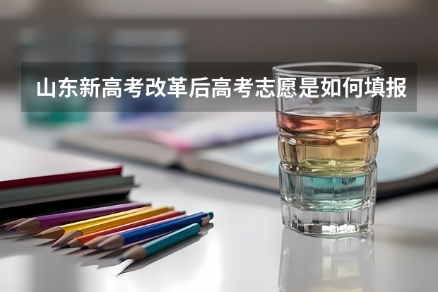 山东新高考改革后高考志愿是如何填报的？