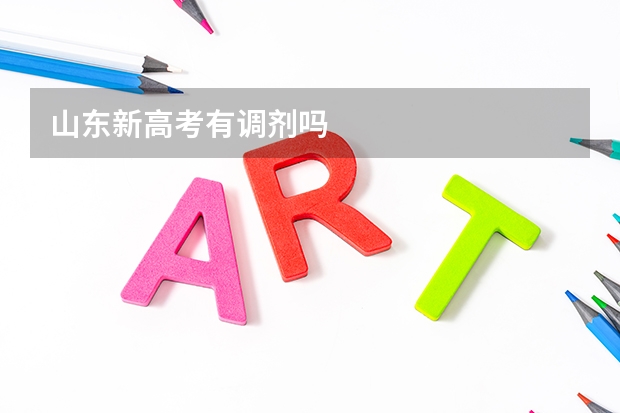 山东新高考有调剂吗