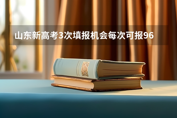 山东新高考3次填报机会每次可报96个志愿可修改6次吗？