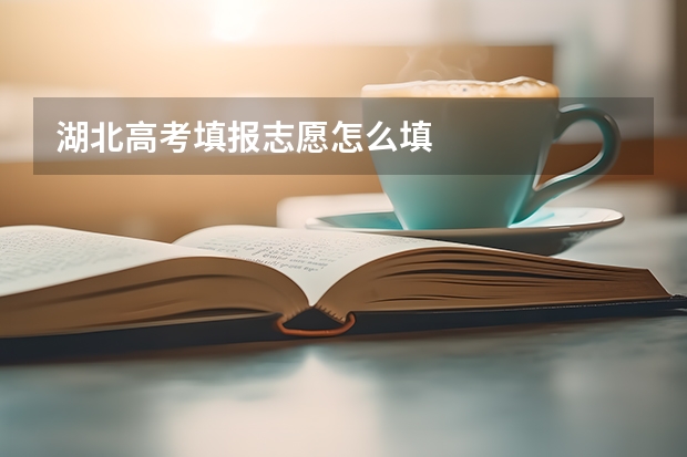 湖北高考填报志愿怎么填