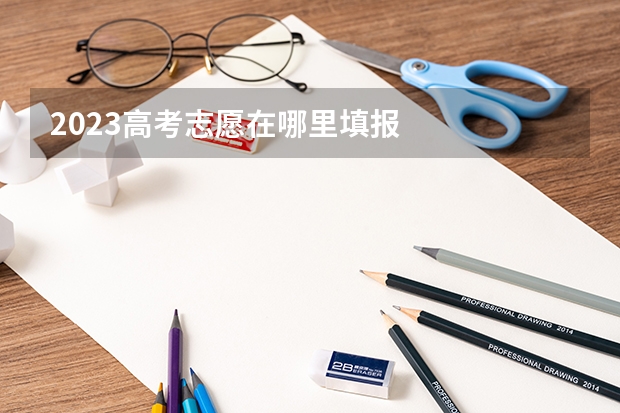 2023高考志愿在哪里填报