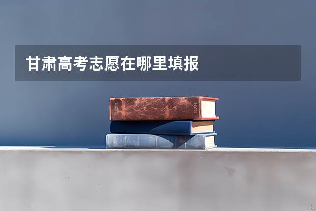 甘肃高考志愿在哪里填报