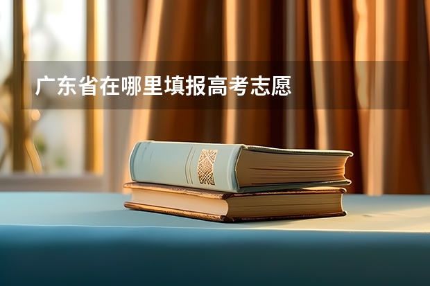 广东省在哪里填报高考志愿