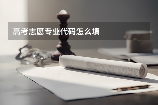 高考志愿专业代码怎么填