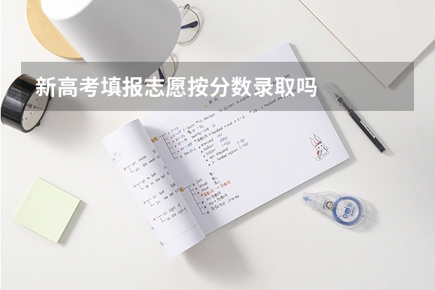 新高考填报志愿按分数录取吗