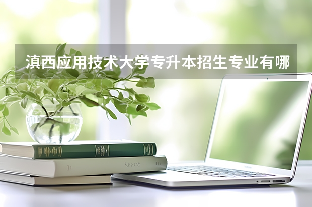 滇西应用技术大学专升本招生专业有哪些？