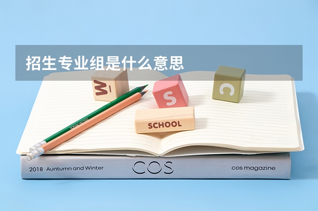 招生专业组是什么意思