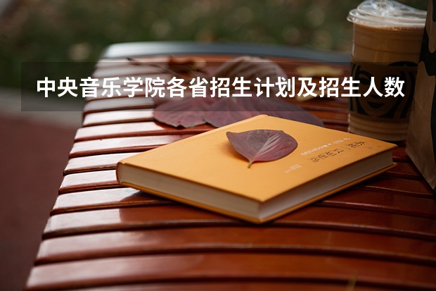 中央音乐学院各省招生计划及招生人数 都招什么专业