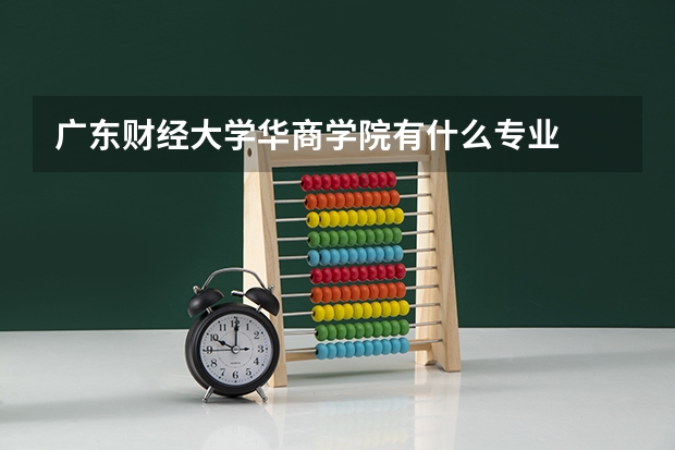 广东财经大学华商学院有什么专业