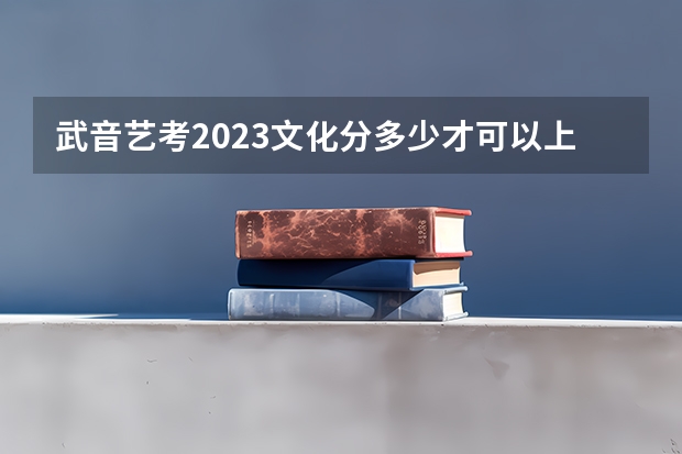 武音艺考2023文化分多少才可以上