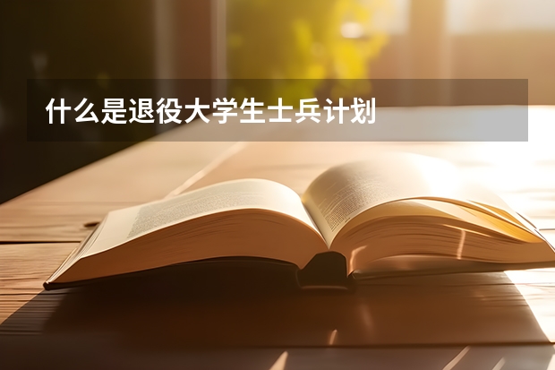 什么是退役大学生士兵计划