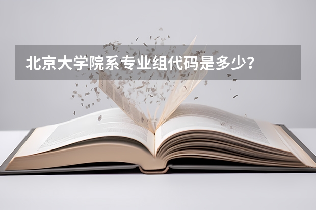 北京大学院系专业组代码是多少？