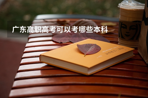 广东高职高考可以考哪些本科