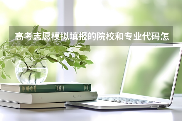 高考志愿模拟填报的院校和专业代码怎么填