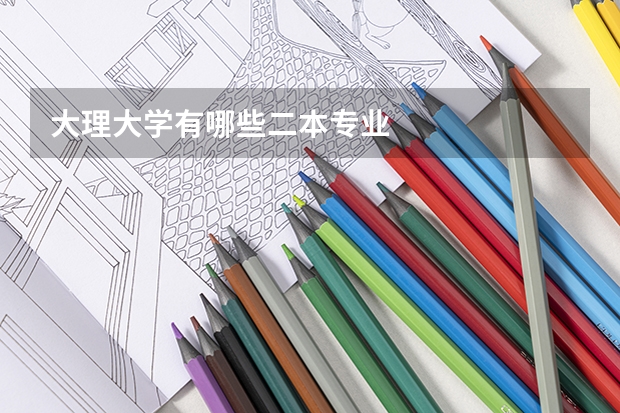 大理大学有哪些二本专业
