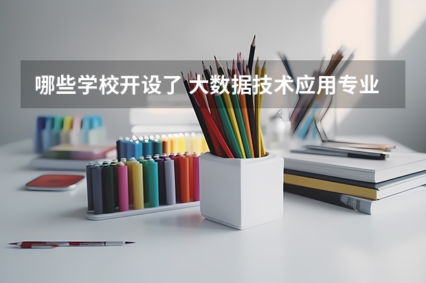哪些学校开设了 大数据技术应用专业