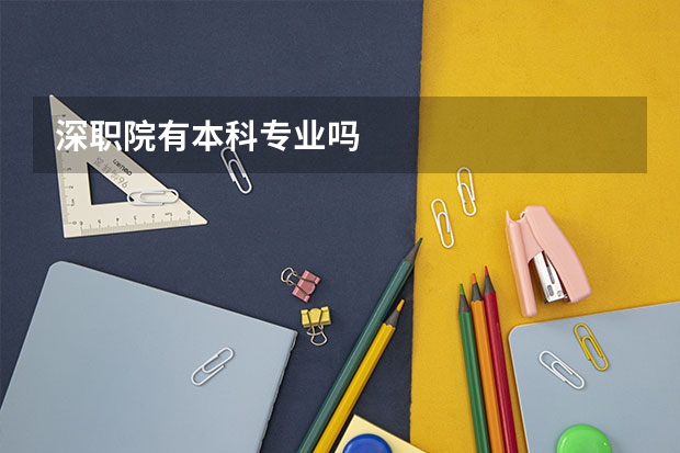 深职院有本科专业吗