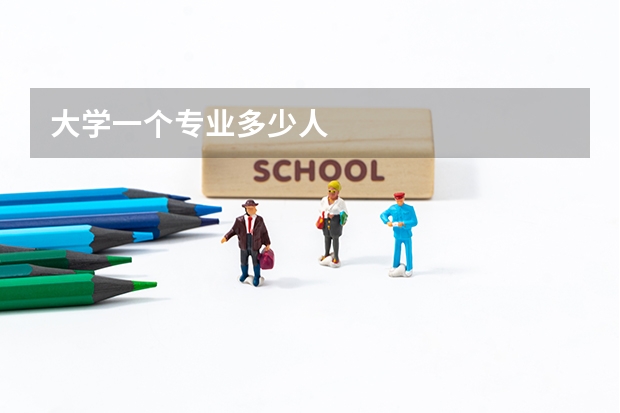 大学一个专业多少人