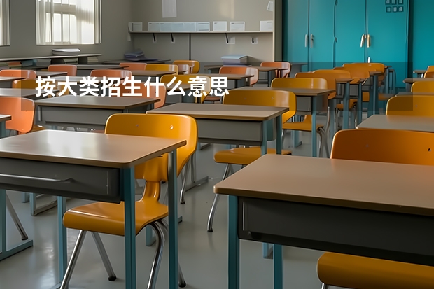 按大类招生什么意思