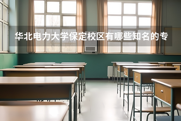 华北电力大学保定校区有哪些知名的专业和学科？