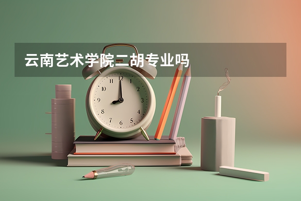 云南艺术学院二胡专业吗