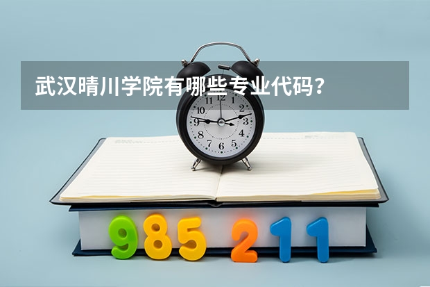 武汉晴川学院有哪些专业代码？