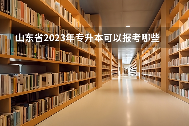 山东省2023年专升本可以报考哪些大学