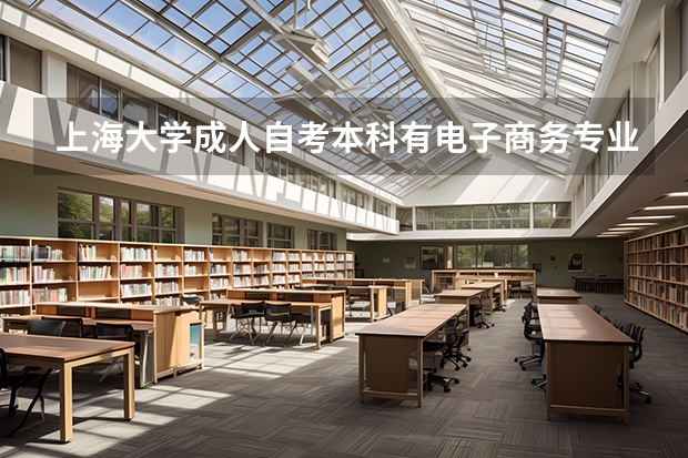 上海大学成人自考本科有电子商务专业吗